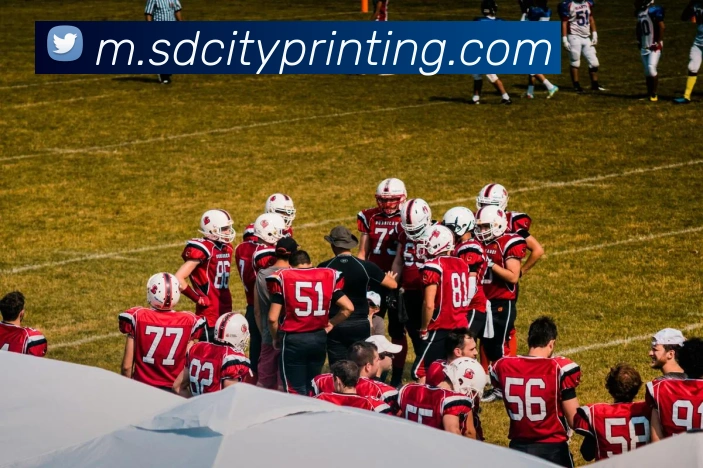 企业概况